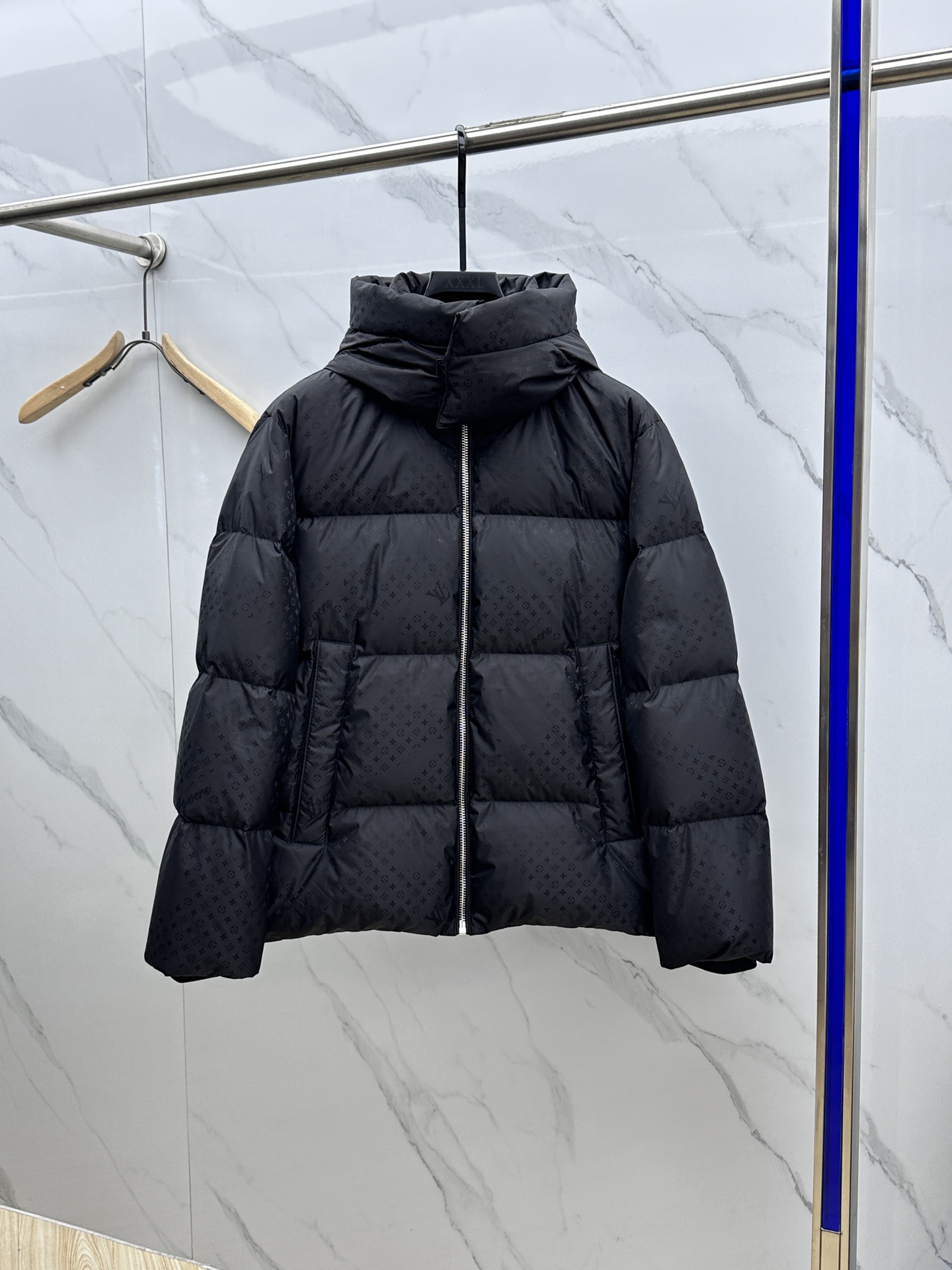 Louis Vuitton Down Jackets